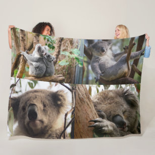 Cobertor De Velo Koala Bears Fleece