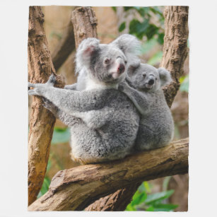 Cobertor De Velo Koala Mãe E Bebê