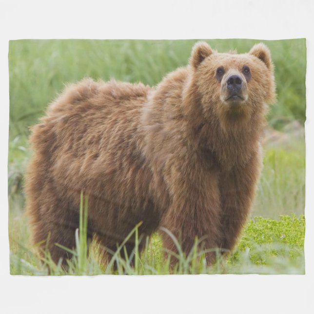 COBERTOR DE VELO KODIAK BEAR (Frente (Horizontal))