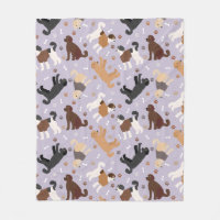 Labradoodle / Ossos e patas de Goldendoodle