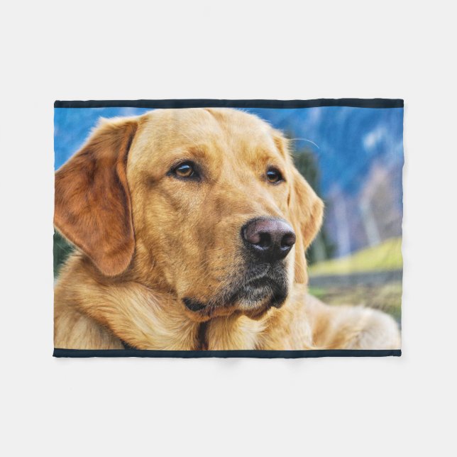 Cobertor De Velo Labrador retriever dourado (Frente (Horizontal))