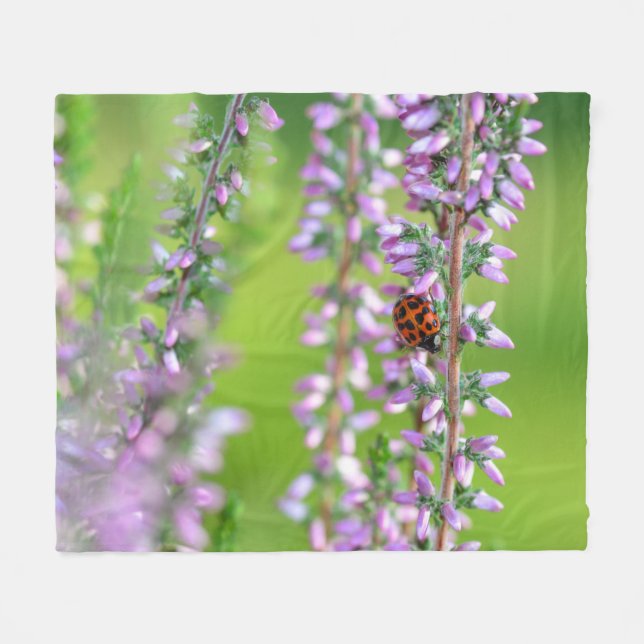Cobertor De Velo Ladybird em flores roxas (Frente (Horizontal))