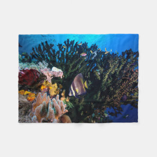 Cobertor De Velo Laja Ampat 4 subaquáticos