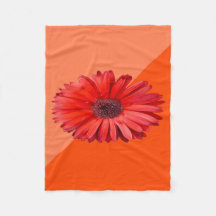 Laranja Daisy Colorblock