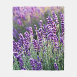 Cobertor De Velo Lavanda Lusciosa