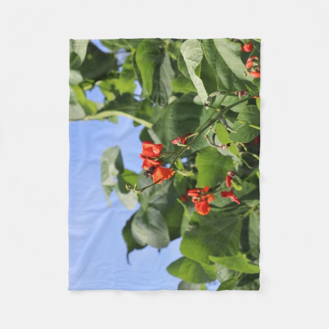 Cobertor De Velo Leafy Bean (Frente)