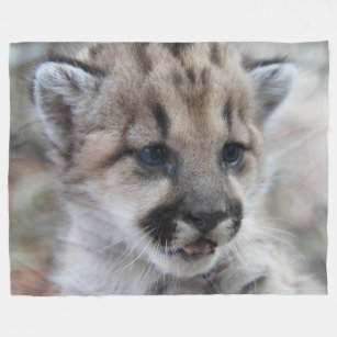 Cobertor De Velo Leão Cub da montanha