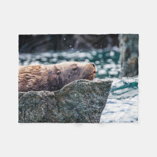 Cobertor De Velo Leão-Do-Mar Na Baía De Ressurreição, Alasca (Frente (Horizontal))