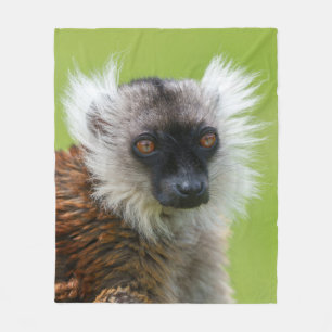 Cobertor De Velo Lemur preto feminino em detalhes