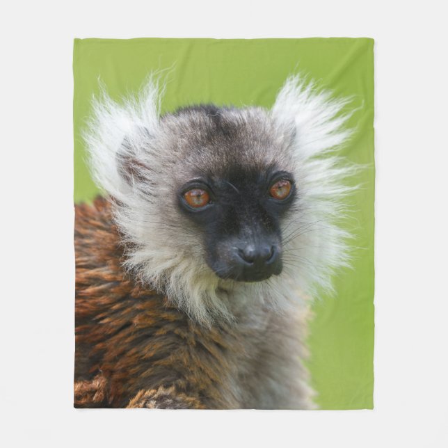 Cobertor De Velo Lemur preto feminino em detalhes (Frente)