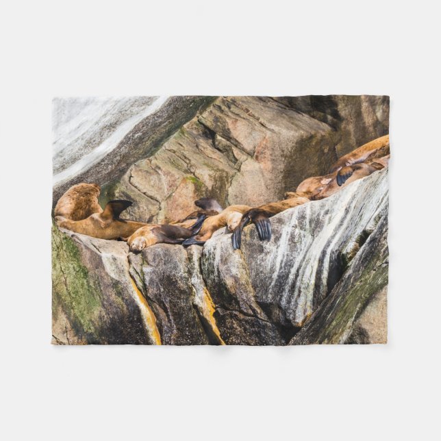 Cobertor De Velo Leões Do Mar Deitados Nas Rochas (Frente (Horizontal))