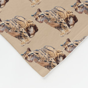 Cobertor De Velo leopardo nebuloso fotografia selva grande gato ani