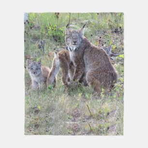 Cobertor De Velo Lince e bebês de Momma