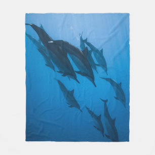 Cobertor De Velo Lindas Criaturas Oceânicas