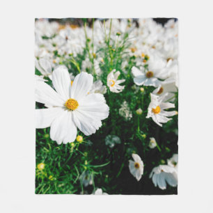 Cobertor De Velo Lindas flores brancas do cosmos florescendo em jar