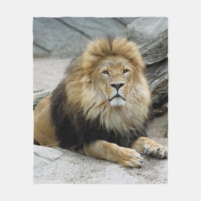 Cobertor De Velo Lion_2014_1001 (Frente)