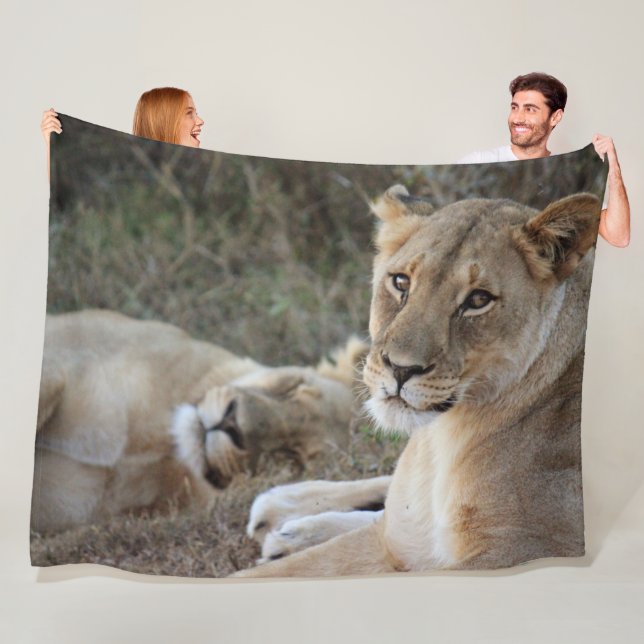 Cobertor De Velo Lion Fleece Blanket (In Situ)
