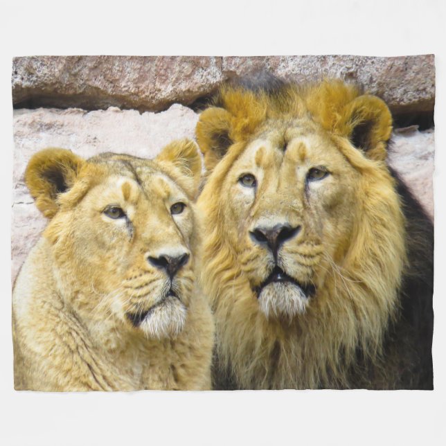 Cobertor De Velo Lion Fleece Blanket (Frente (Horizontal))