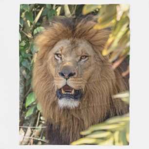 Cobertor De Velo Lion Fleece Blanket