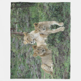 Cobertor De Velo Lion Fleece Blanket