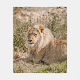 COBERTOR DE VELO LION IN THE GRASS