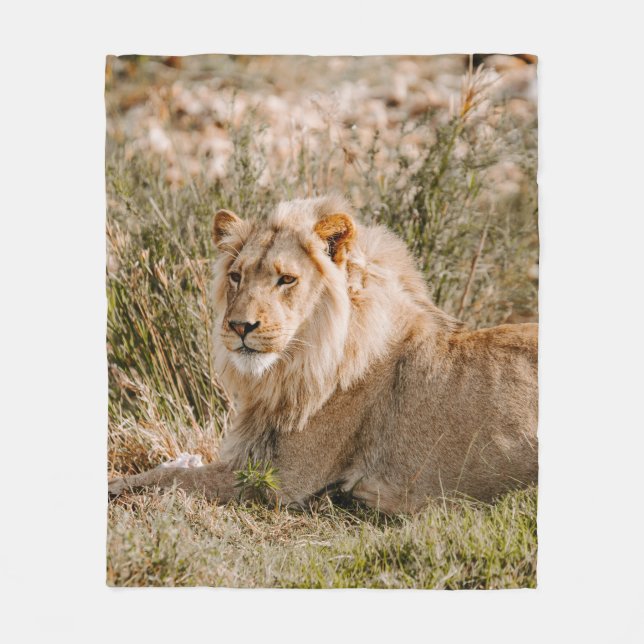 COBERTOR DE VELO LION IN THE GRASS (Frente)