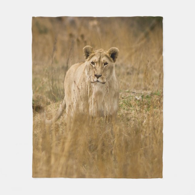 COBERTOR DE VELO LIONESS IN THE GRASS (Frente)