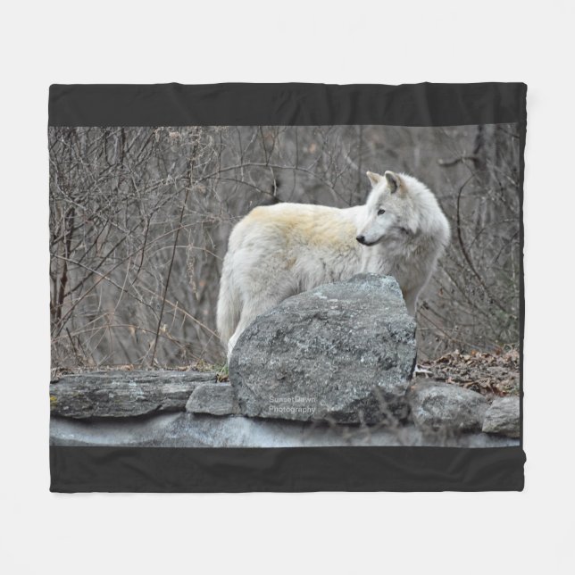 Cobertor De Velo Lobo (Frente (Horizontal))