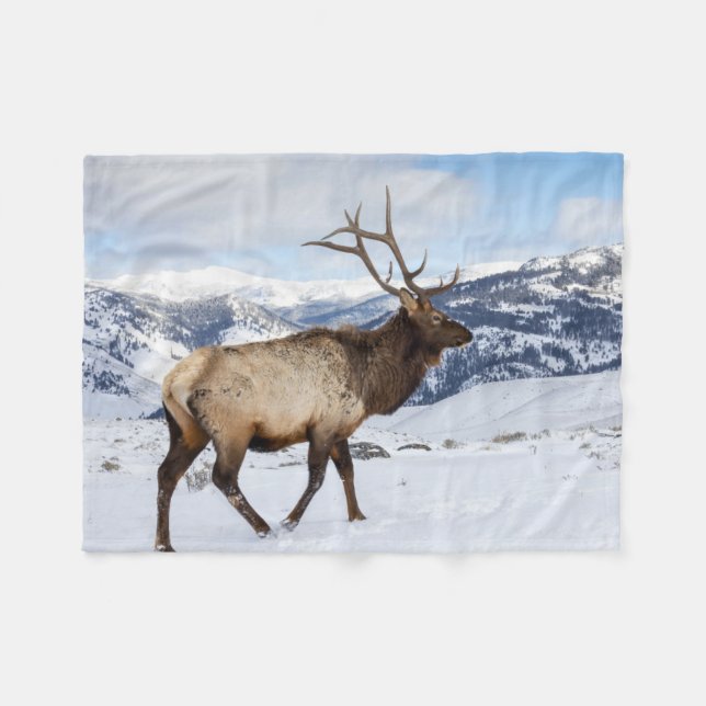 Cobertor De Velo Lone Bull Elk | Parque Nacional Yellowstone (Frente (Horizontal))