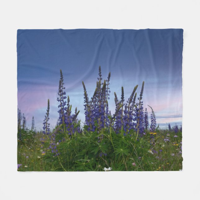 Cobertor De Velo Lupins    (Frente (Horizontal))