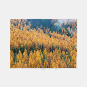 Cobertor De Velo Luz da manhã na praia   Ilha Tybee