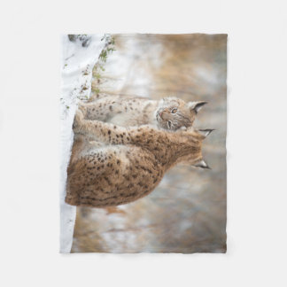 Cobertor De Velo Lynx love Blanket