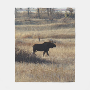 Cobertor De Velo M5 Alce Bull Moose e Colinas de Areia