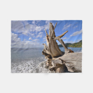 Cobertor De Velo Madeira lançada costa na linha costeira de praia