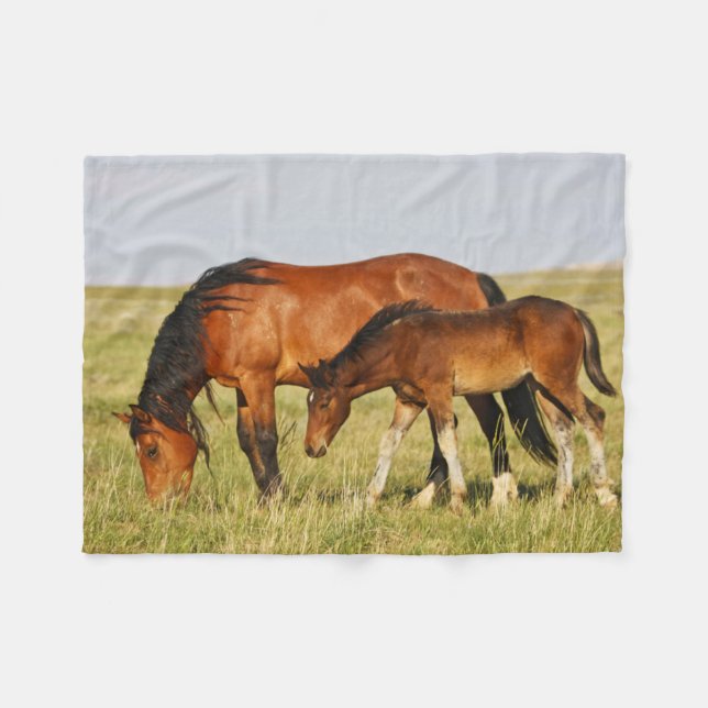 Cobertor De Velo Mãe de Cavalo Selvagem e Grazing Colt (Frente (Horizontal))