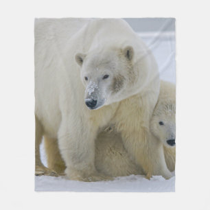COBERTOR DE VELO MÃE DE URSO POLAR E NORTE DE CUB ALASKA