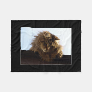Cobertor De Velo Maine Coon Cat Pet