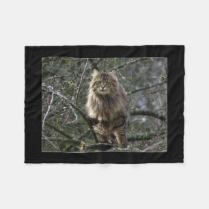 Cobertor De Velo Maine Coon Cat Pet