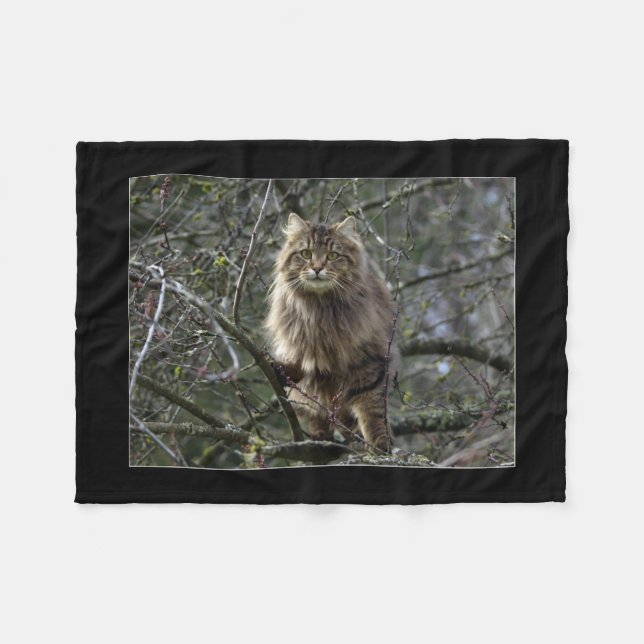 Cobertor De Velo Maine Coon Cat Pet (Frente (Horizontal))