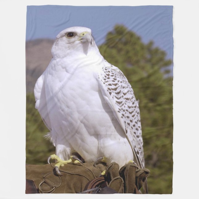 Cobertor De Velo Majexpressa Gyrfalcon (Frente)