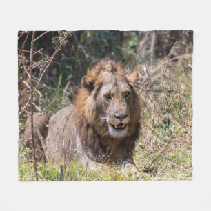 Cobertor De Velo Male Lion Fleece Blanket