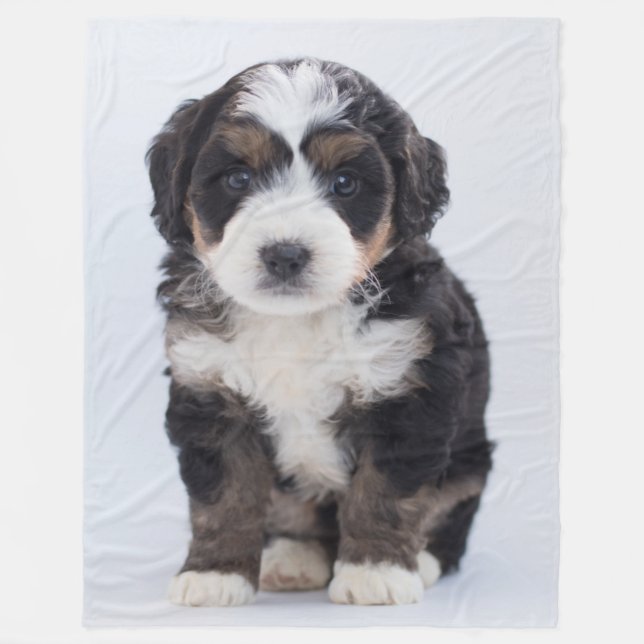 COBERTOR DE VELO MALTESE PUPPY (Frente)