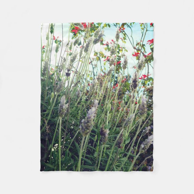 Cobertor De Velo manta (Frente)