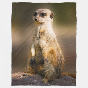 COBERTOR DE VELO MEERKAT