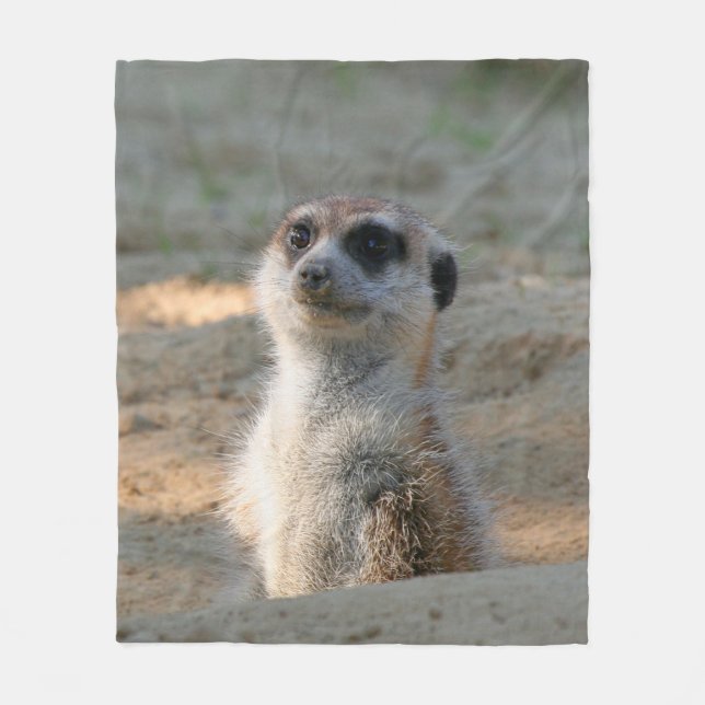 Cobertor De Velo Meerkat 004 (Frente)