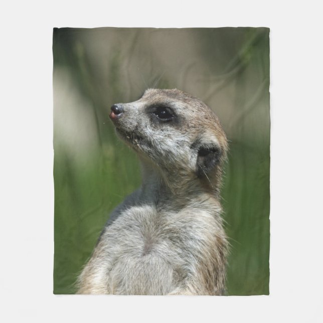 Cobertor De Velo Meerkat 015 (Frente)