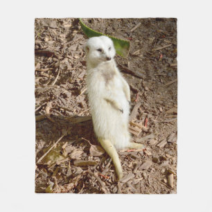 Cobertor De Velo Meerkat Branco, Flórida Média.