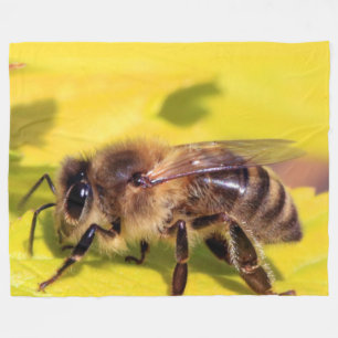COBERTOR DE VELO MEL BEE