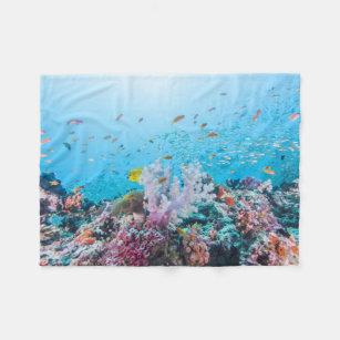 Cobertor De Velo Mergulho autónomo com recife e coral coloridos