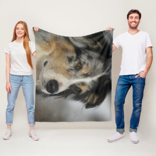 Cobertor De Velo Miniature American Shepherd Blue Merle segundo